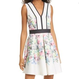 Ted Baker Solarh Pergola Print Floral Fit Dress